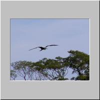 10- Fregate.html